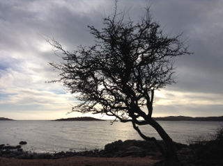 Solway Firth